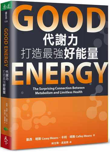 Good Energy: The Surprising Connection Between Metabolism and Limitless Health Good Energy: The Surprising Connection Between Metabolism and Limitless Health